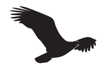 ravenailabs.pages.dev favicon